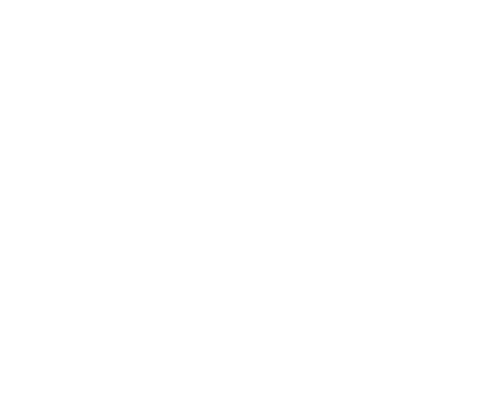 FOI Senigallia